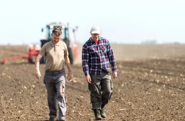 cotação de mercado agrícola